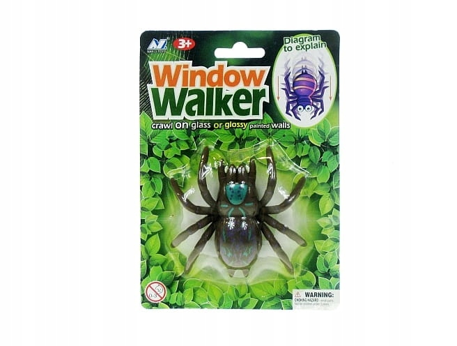 

Pająk tarantula chodzący po szybie 10p
