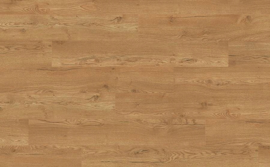 EGGER Panele Podłogowe Dąb Olchon Miodowy EPL144 AC4 8 mm