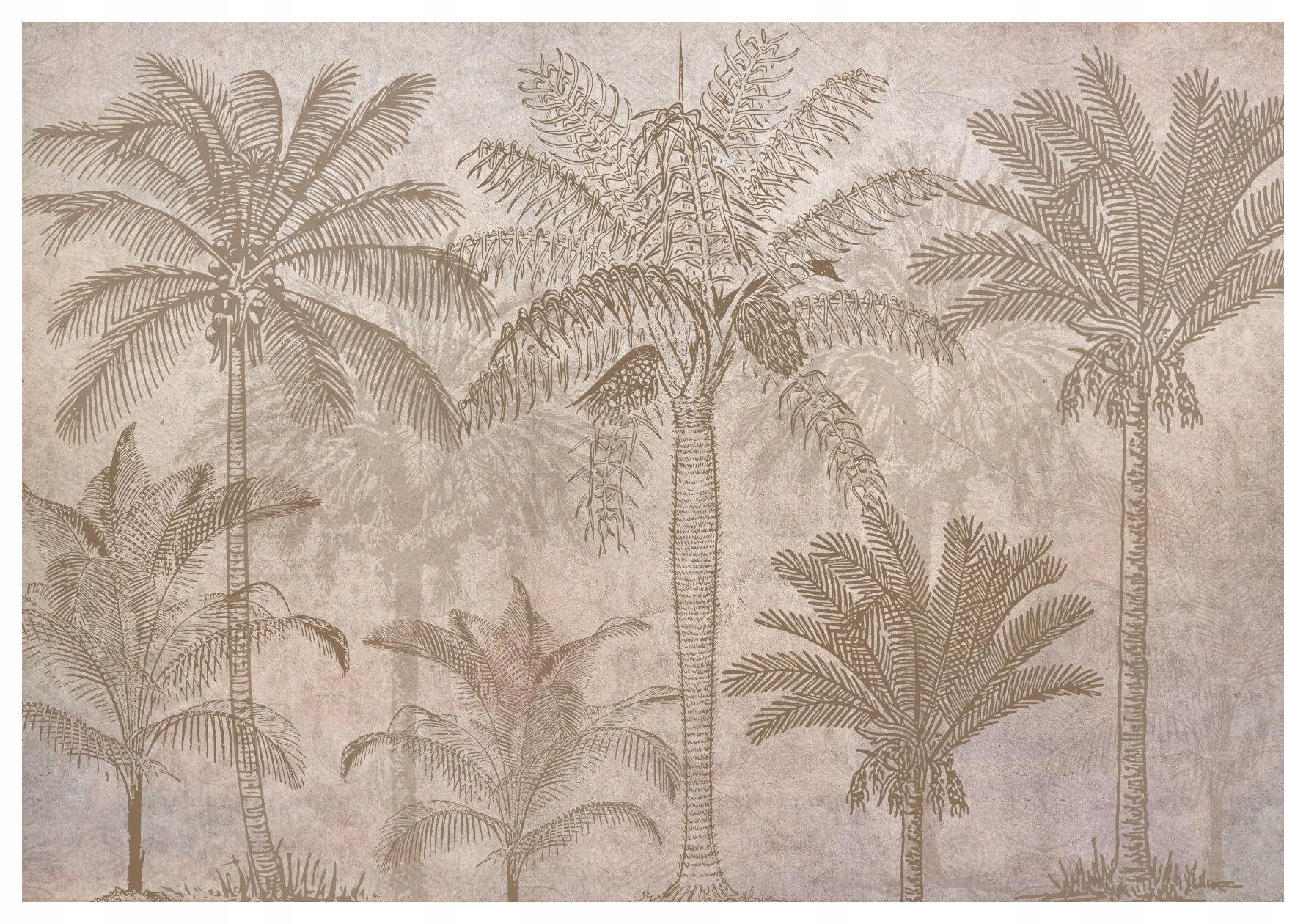 Vliesová fototapeta Palmy Tropická Oáza Boho Minimalizmus 416x254 lepidlo