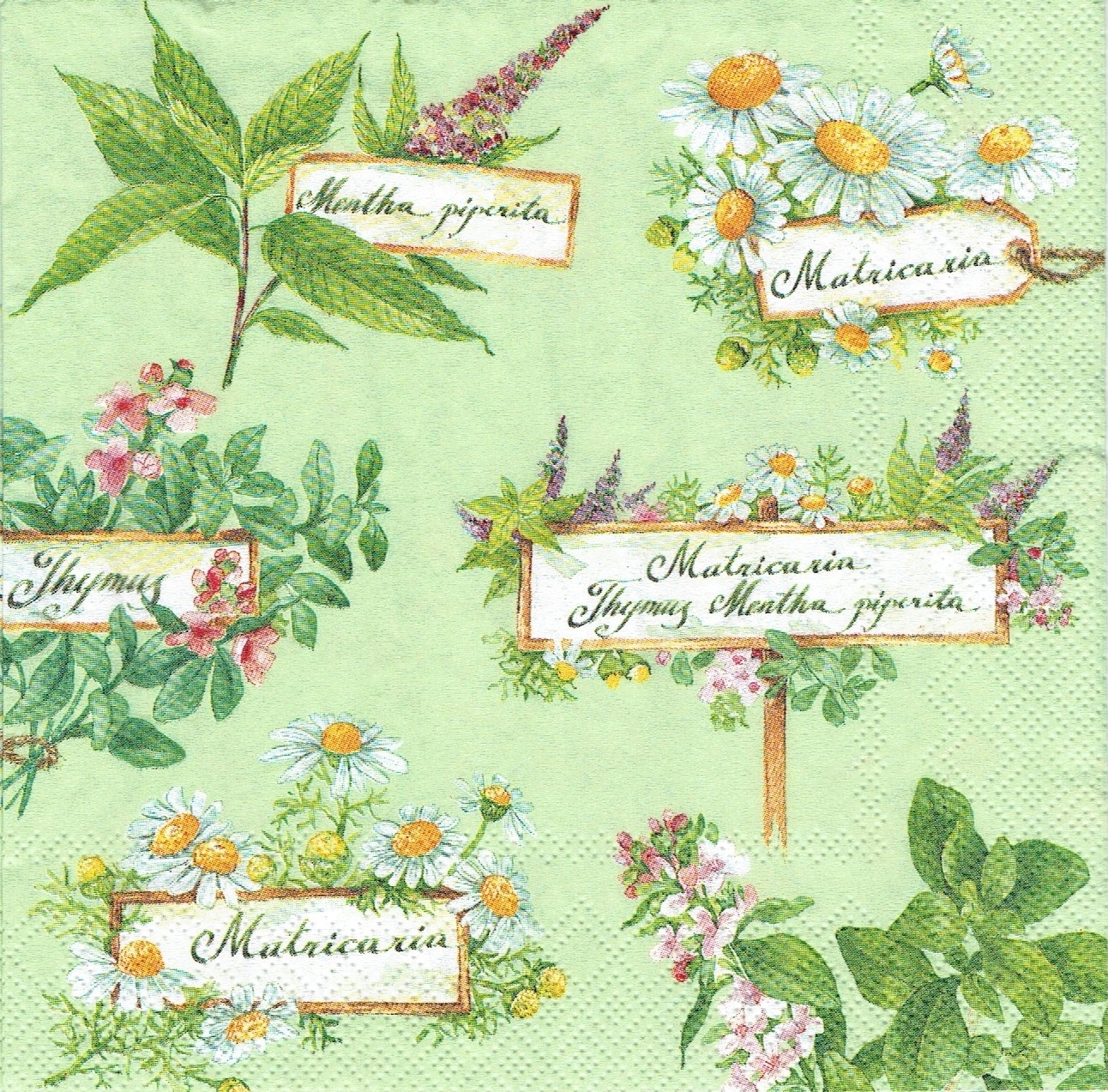Serwetka decoupage 1130A serwetki Zioła rośliny