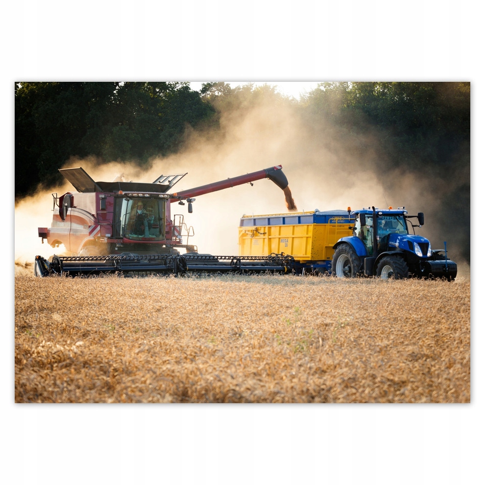 

Fototapety flizelina 208x146 Kombajn Traktor Żniwa