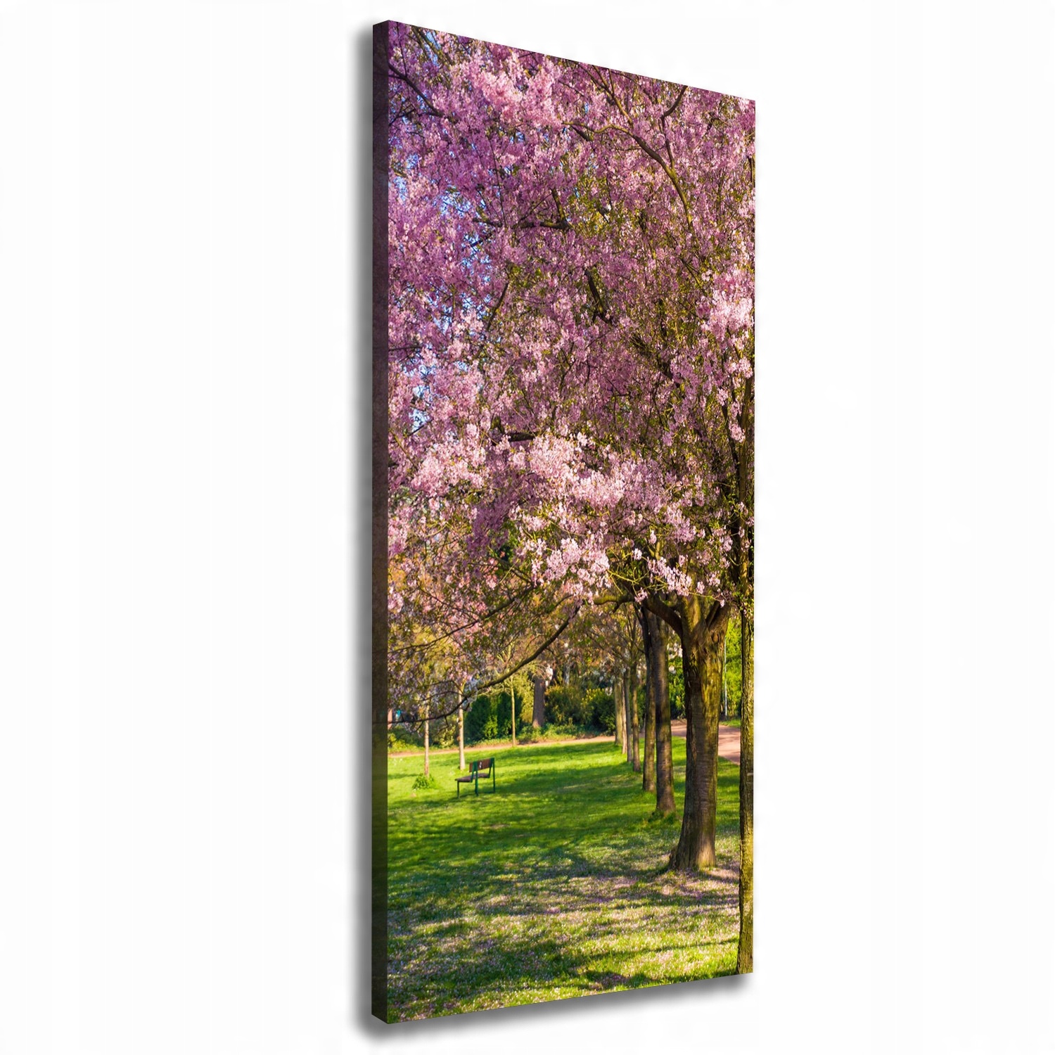 

Foto obraz canvas do salonu Drzewa wiśni 50x125
