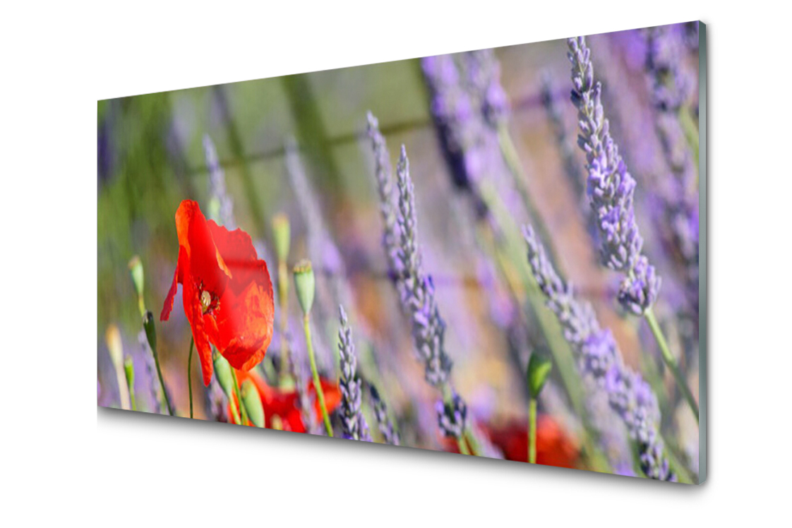 

Panel szklany dekor Kwiaty Roślina 140x70 + Klej