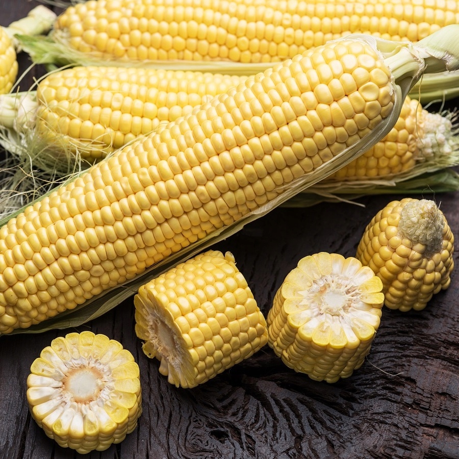 Сладость кукурузу. Кукуруза РАМОНДИЯ. Кукурузные сладости. Кукуруза сладость. Семена кукурузы низкорослая и сладкая.
