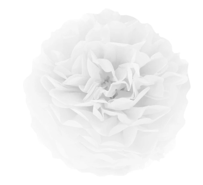 

Kula biały dekoracyjny Pompon bibułowy 15cm party