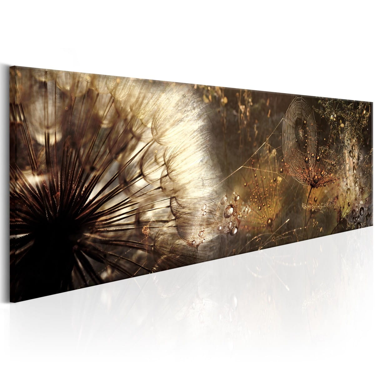 

Obraz - Magia o poranku - 120X40
