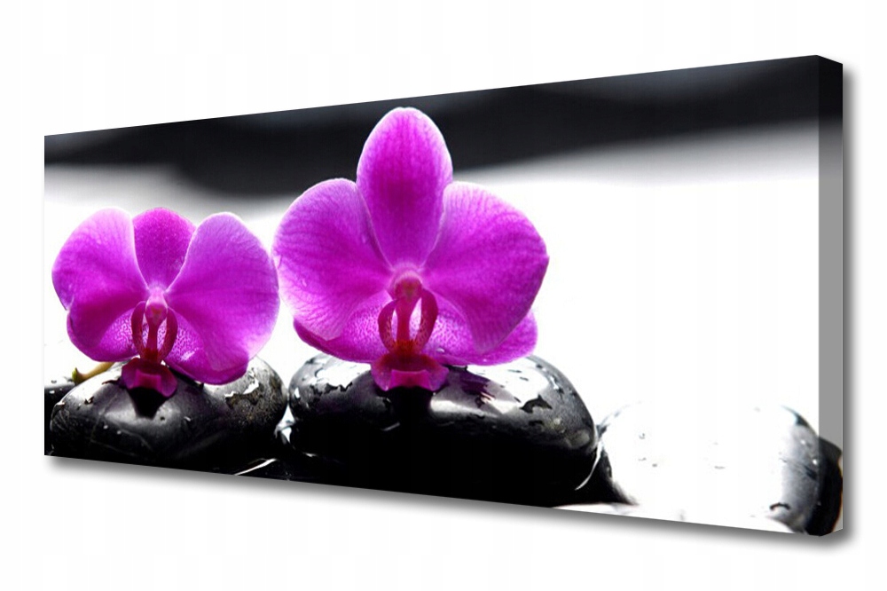 obraz na plátně Květiny Orchidej Příroda 125x50