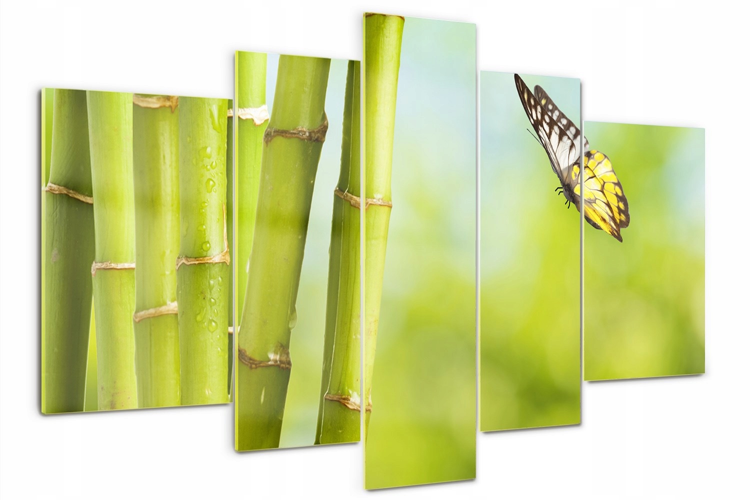 Foto Obraz zo skla veľký triptych Bambus a motýľ