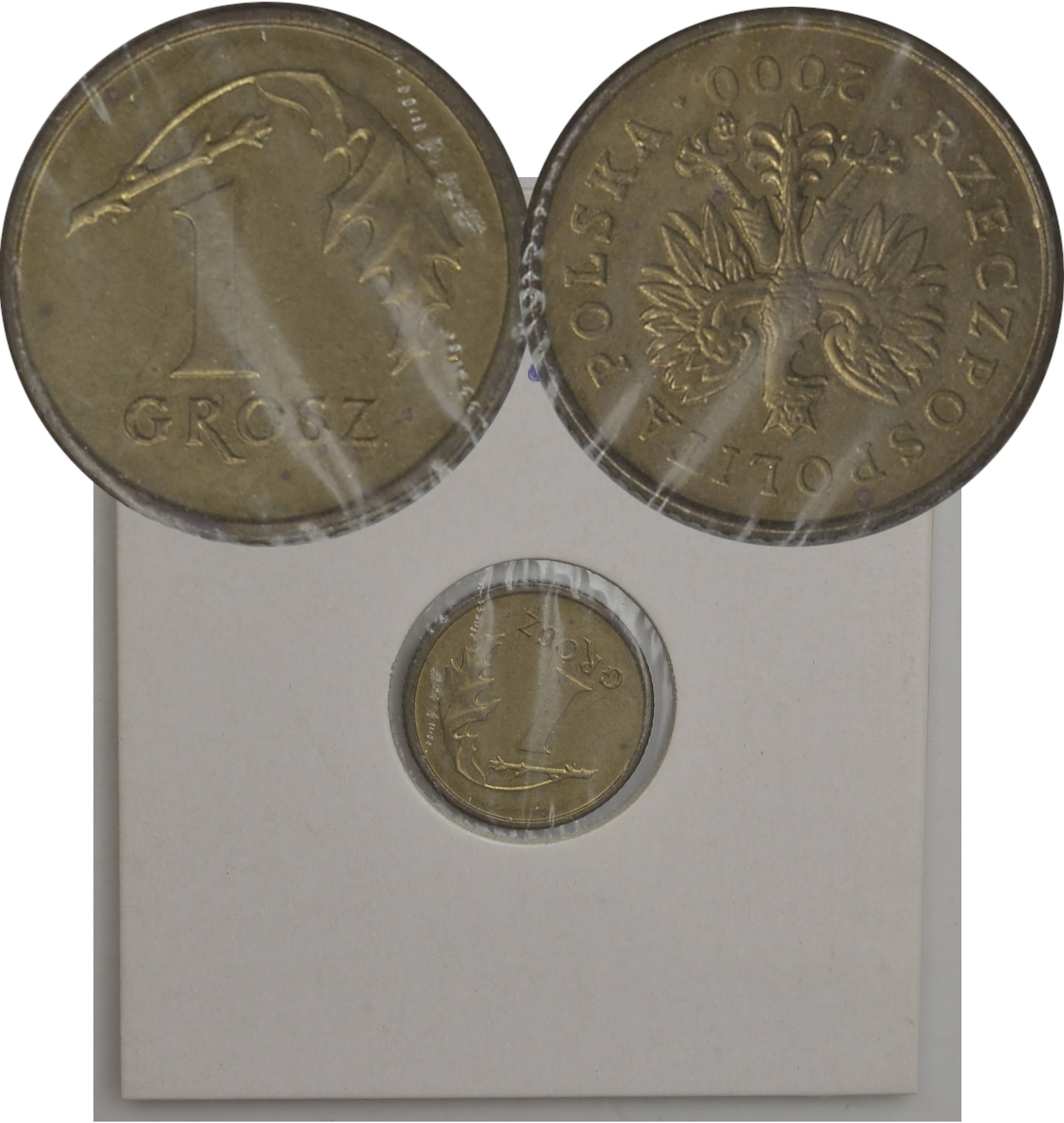 1.fy.III RP, 1 GROSZ 2000 odwrotka