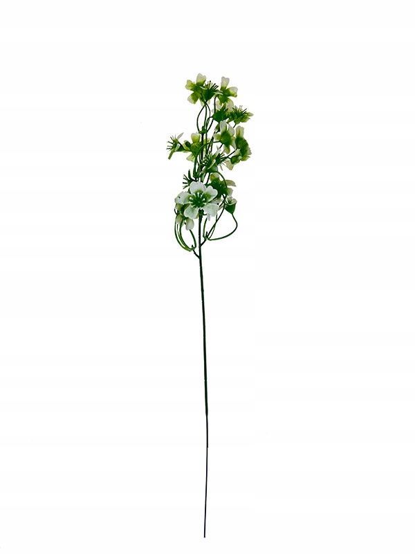 

Dodatek PS038 (2 kolory) 45 cm Biało-zielony