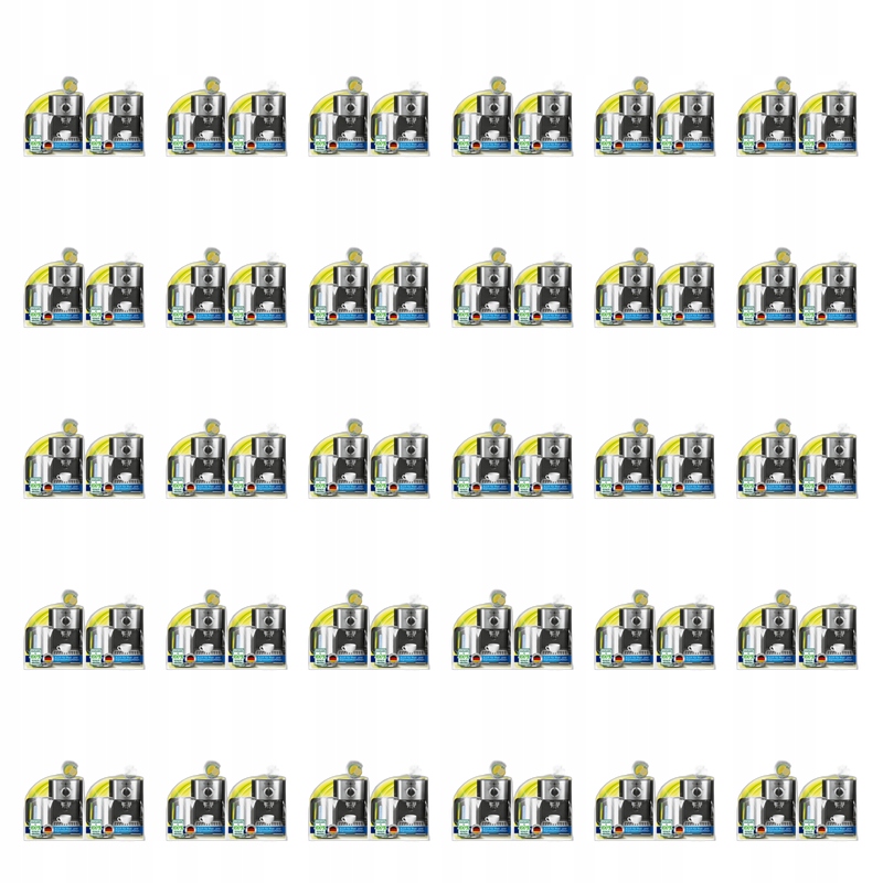 Heitmann Odvápňovač Bio-fast 2x25g X30