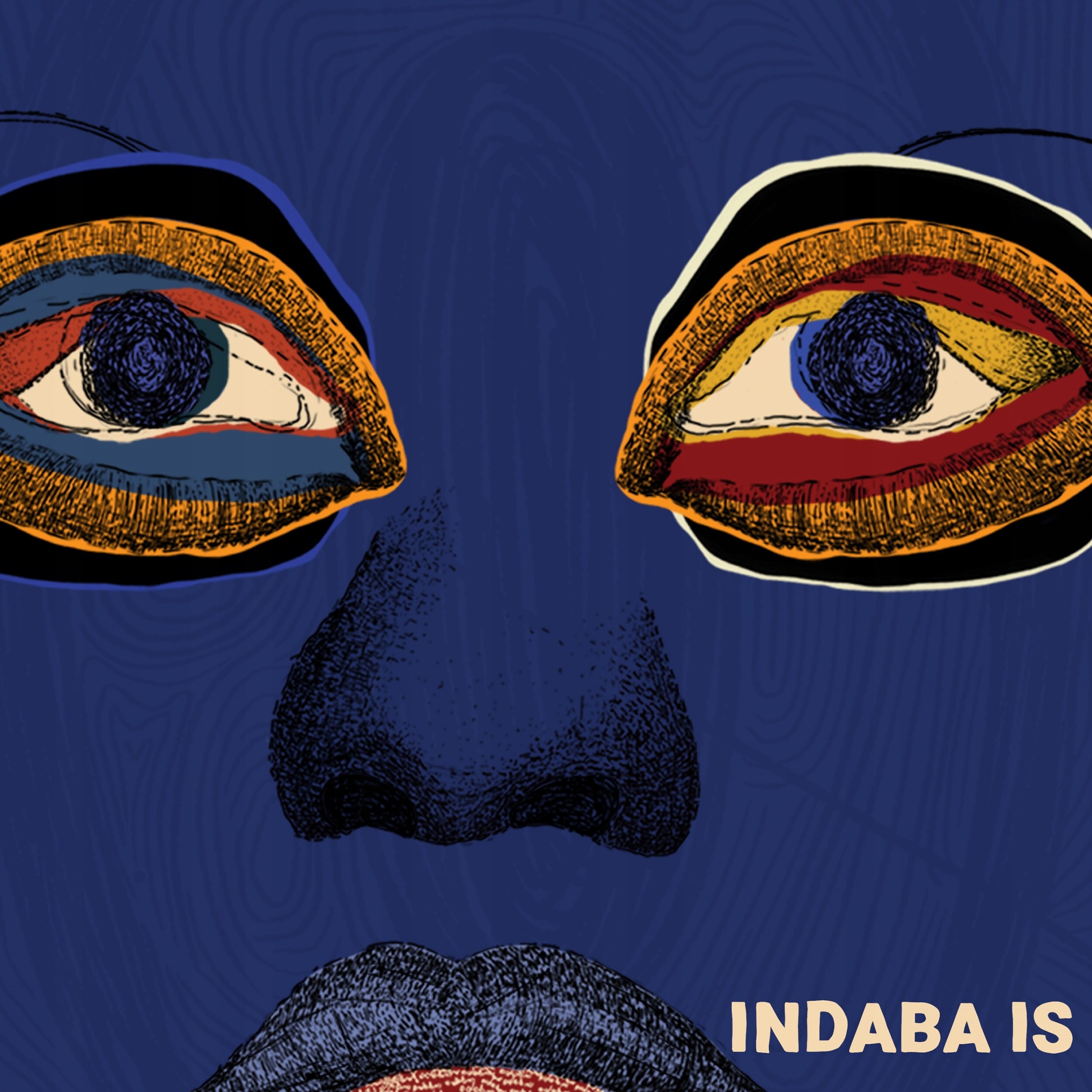 Various Indaba Is