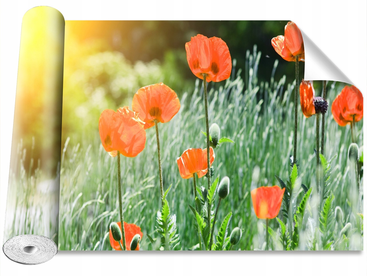 

Tapeta Samoprzylepna Kwiaty maku 416x254