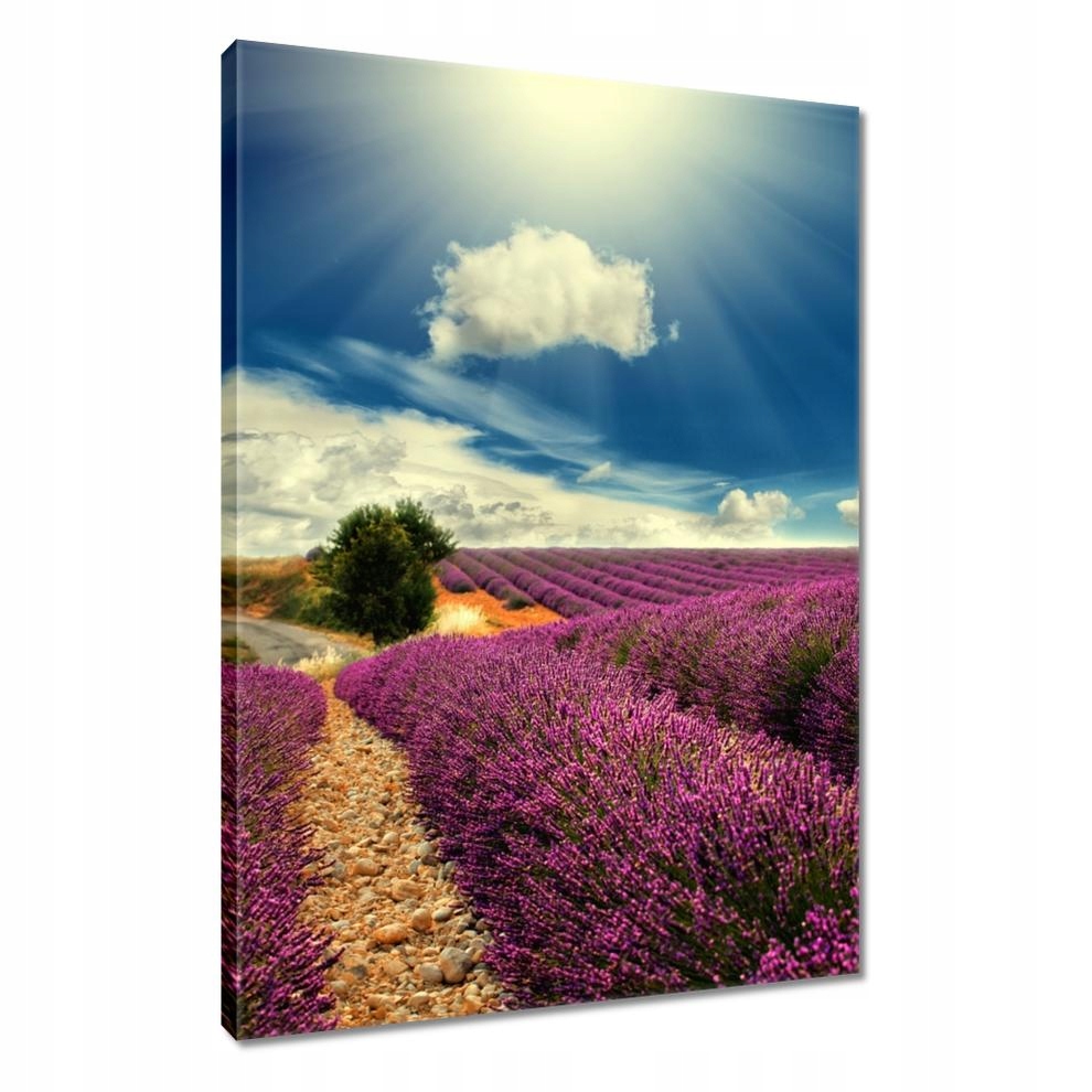 

Obrazy 40x60 Lawendowy pejzaż