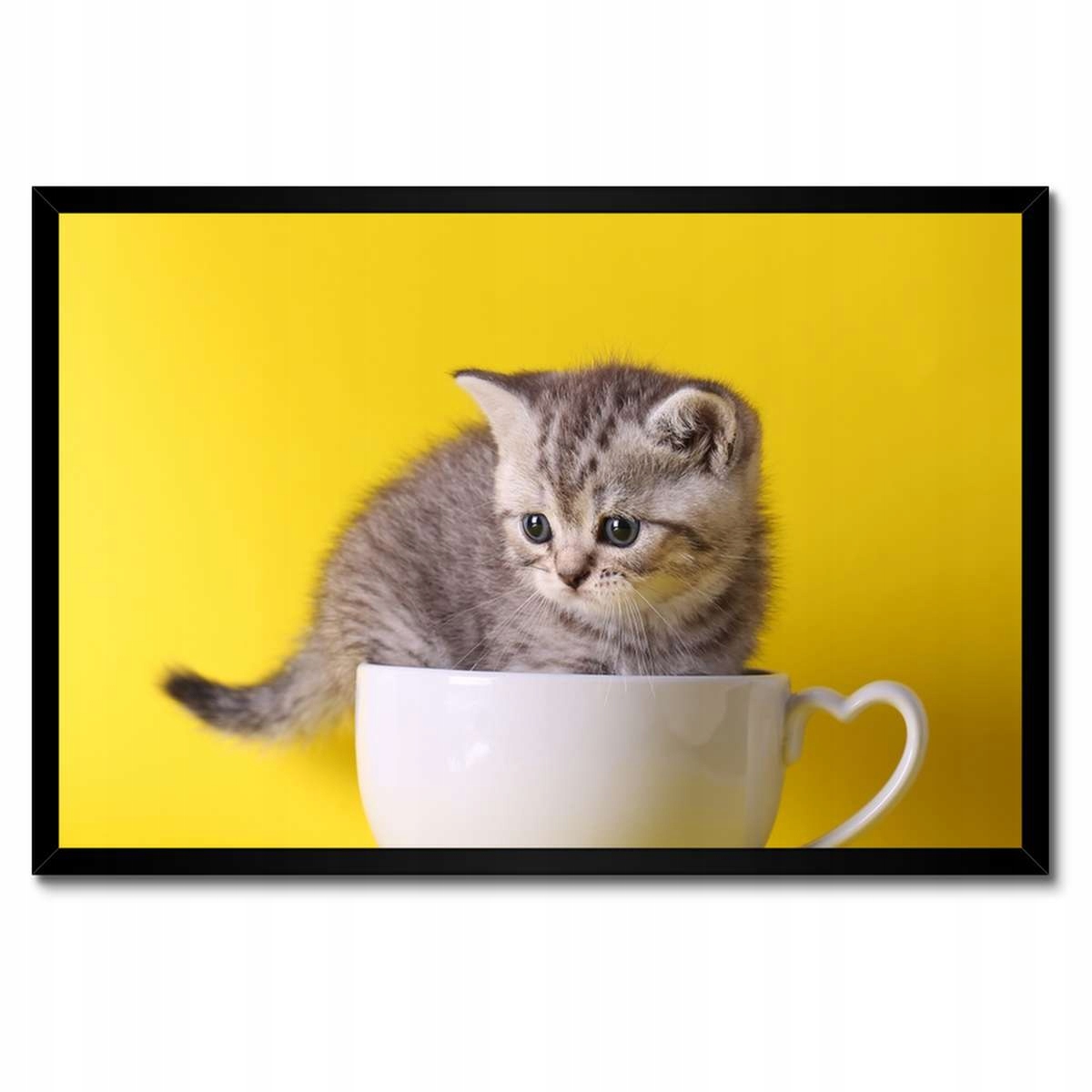 Plakáty v rámu 60x40 Kočka Kotě Kočky Kočka