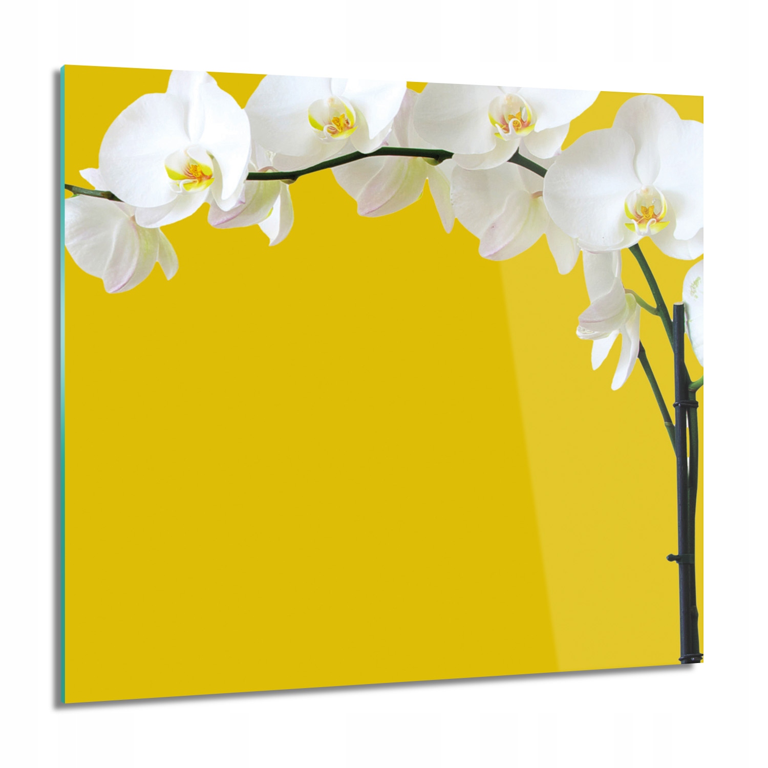 Orchidej Obraz na skle nástěnný 60x60