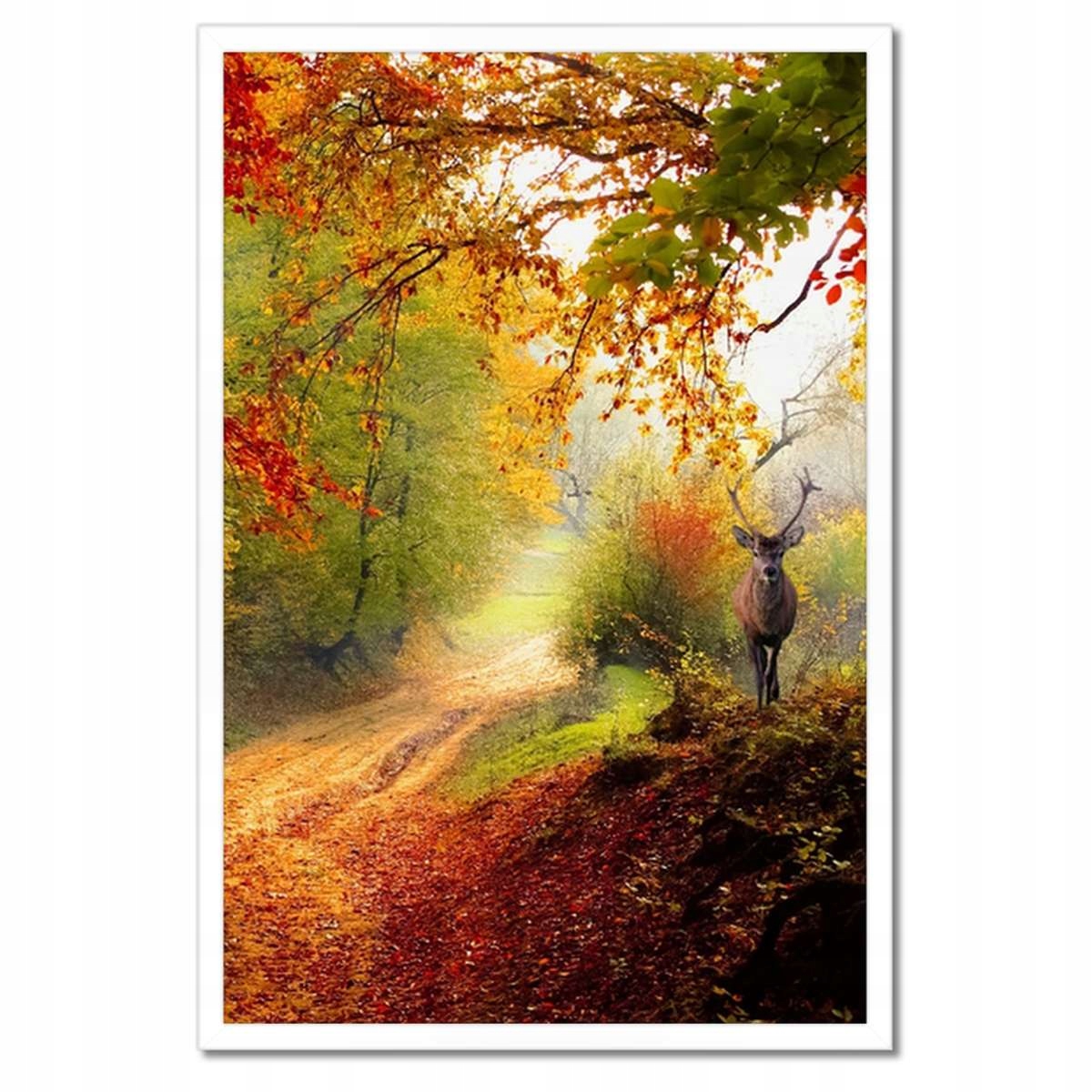 Plakáty v rámu 40x60 Jelen v lese