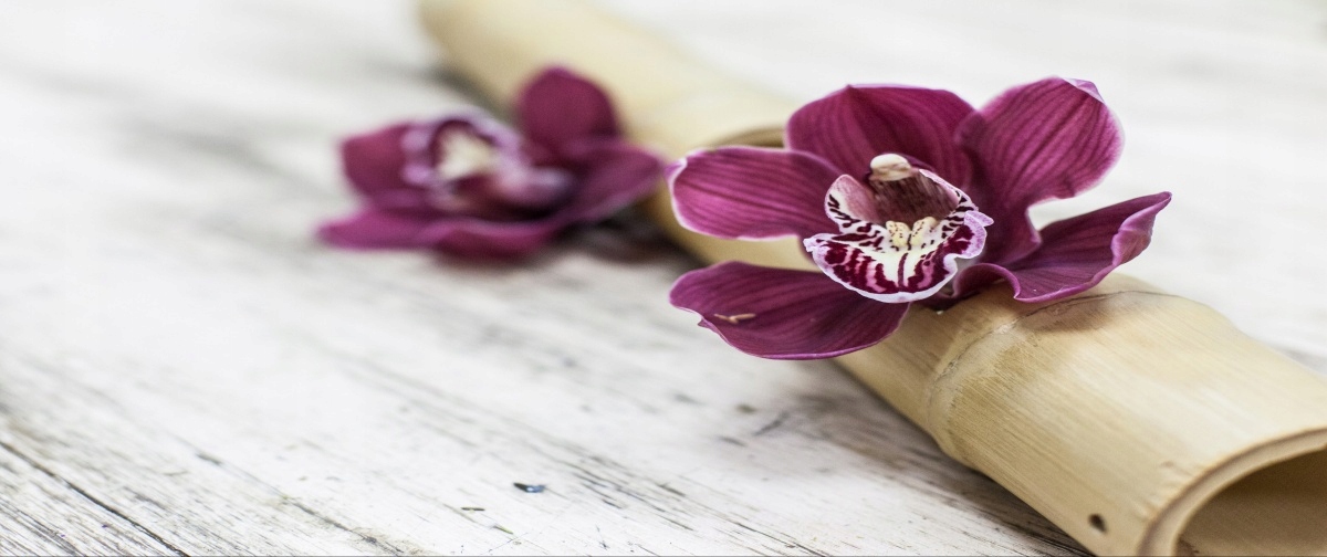 

Fototapeta Flizelinowa Orchidei Drewno 250x104