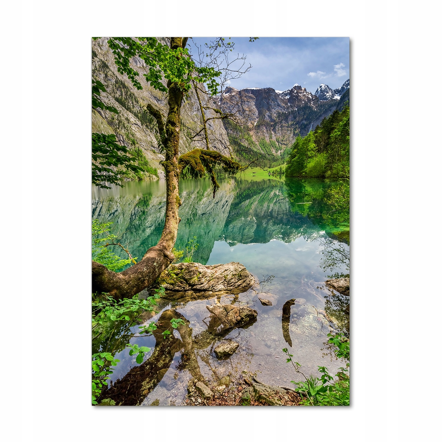 

Foto obraz szklany pionowy Jezioro w górach 70x100