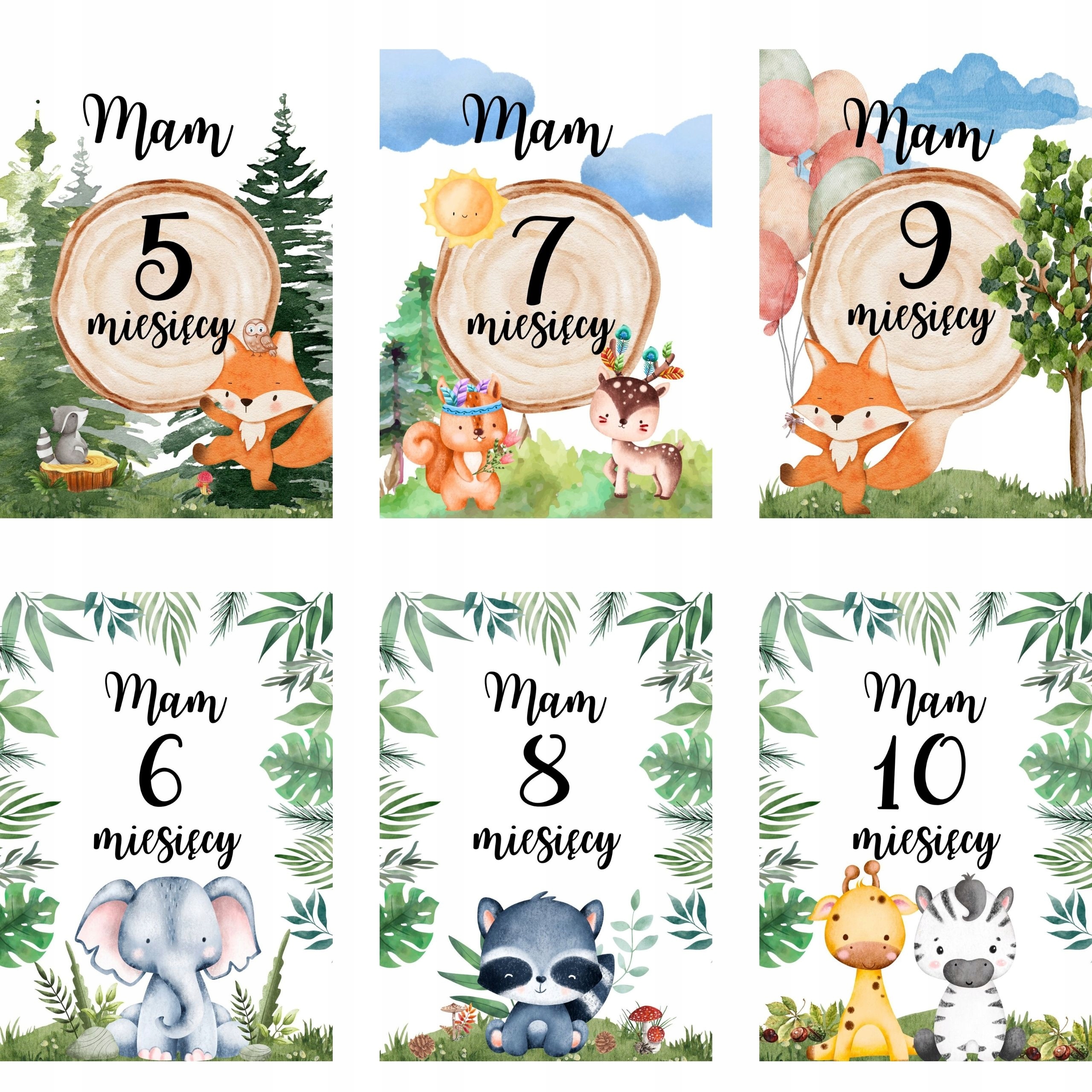 FOTO MATA do zdjęć PREMIUM Fotokocyk GRATIS KARTY Kolor wielokolorowy