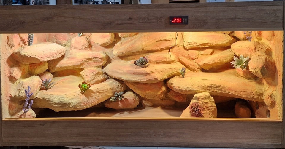 Pouštní Terárium Na Objednávku 120x40x40 Agama Karłowata S Aranžováním