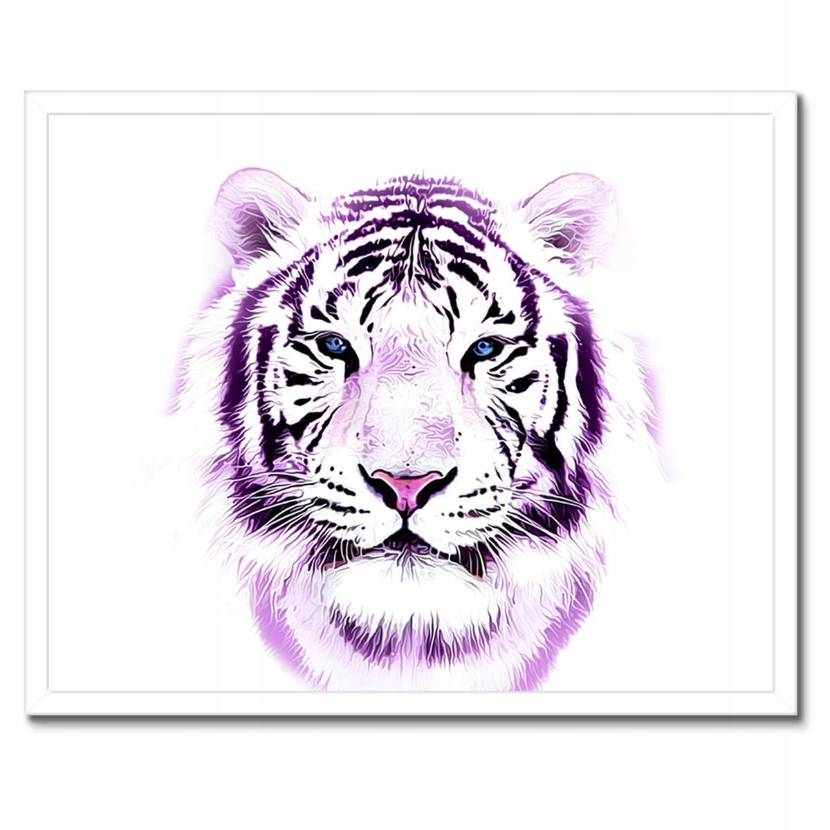 Plakáty v rámu 50x40 Jemná grafika Tygr na bílém pozadí Tiger
