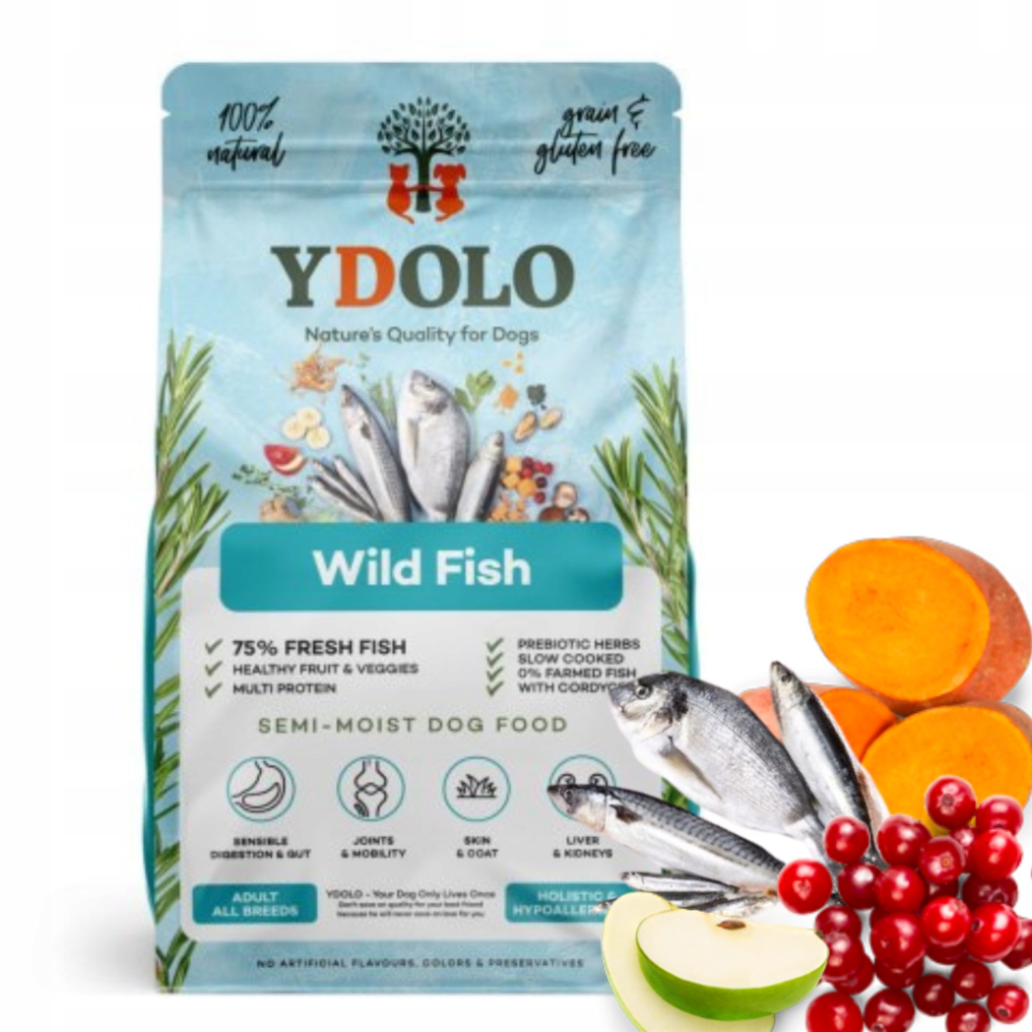 Levně Ydolo Wild Fish Mořské ryby Krmivo pro psy 2,5 kg