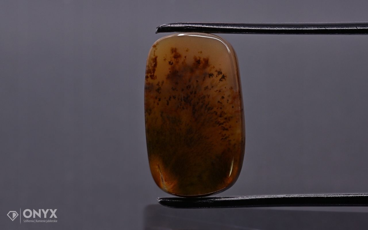 Dendrit achát z Kazachstánu mělký cushion 20,5x