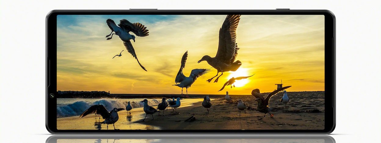 Sony Xperia 1 V - Premiera na Allegro.pl