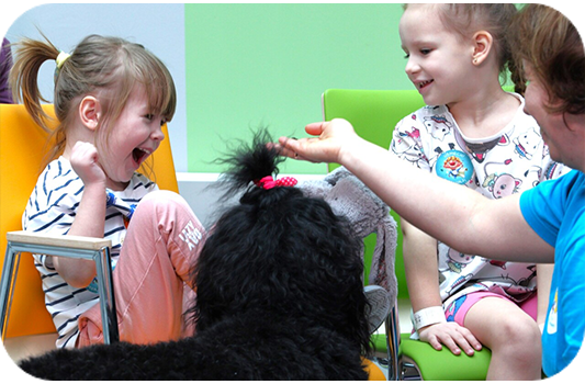 Dog therapy session, black dog, children, green chairs, playful interaction