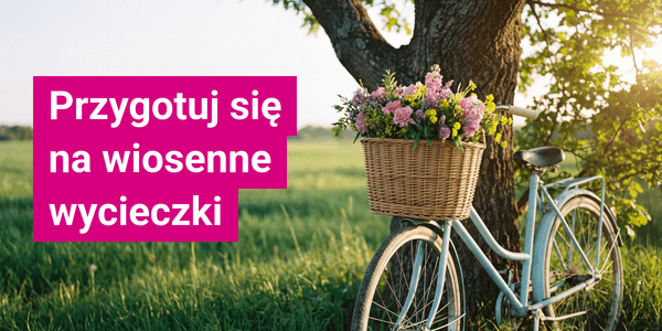 Blue vintage bicycle with wicker basket, floral arrangement, textured frame.