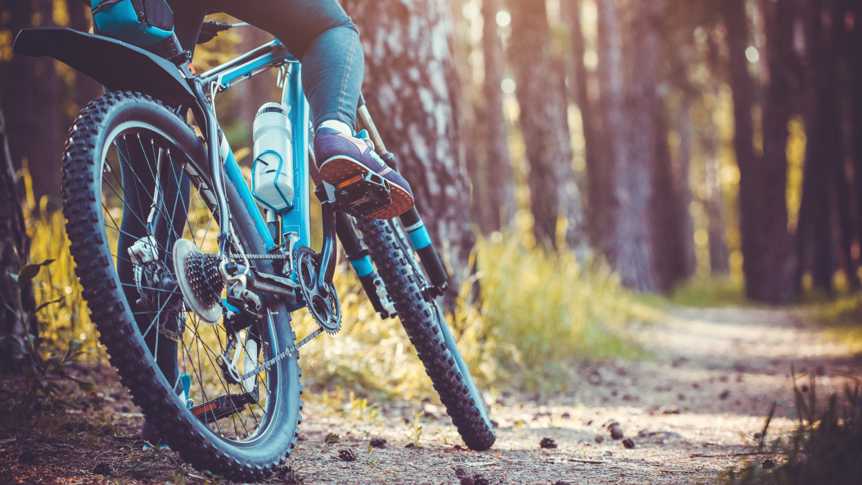 Kands, Lazaro, Romet czy Unibike jaki tani rower wybrać? Allegro.pl