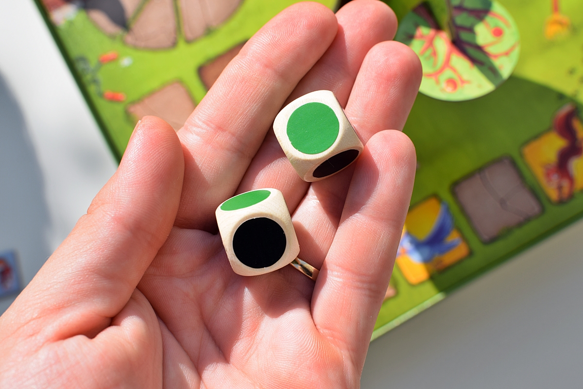 Photo 6 Dice
