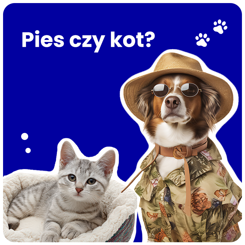 Dog and cat illustration, blue background, floral shirt, sunglasses.