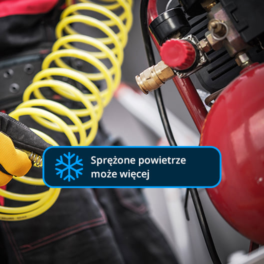 528x528 02 links 58736 8350 dobra