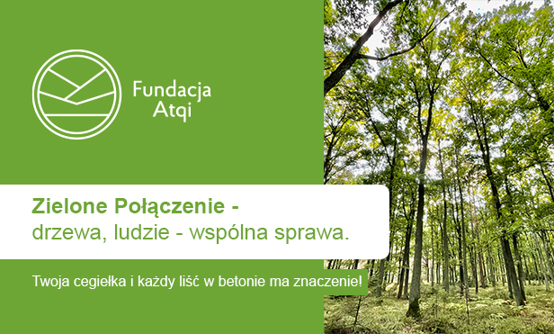 zobacz oferty na ten cel