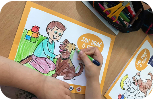Coloring book "Jak Dbać o Psa," child coloring a dog, brown dog, paper, markers