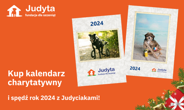 Fundacja dla szczeniąt Judyta