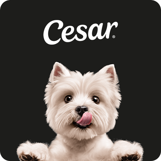 Cesar dog food, white Westie, fluffy texture, brand logo.