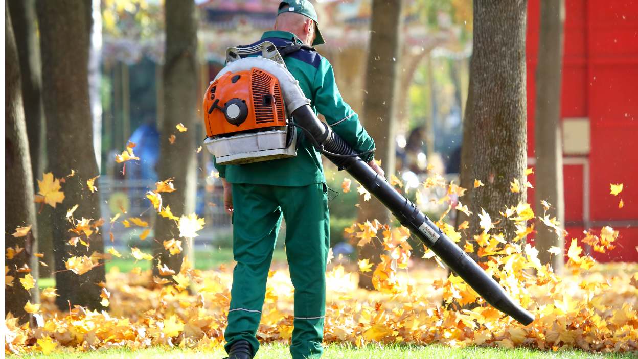 Выбираем воздуходувку