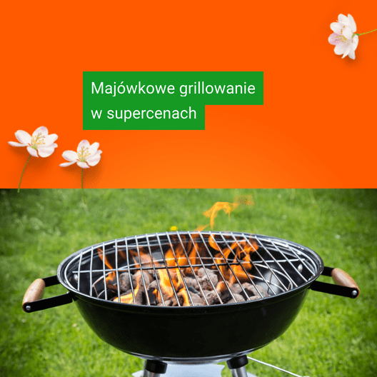 528x528 wiosna 1711638259669