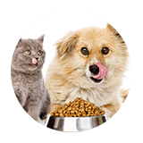 160x160 pytka pies kot