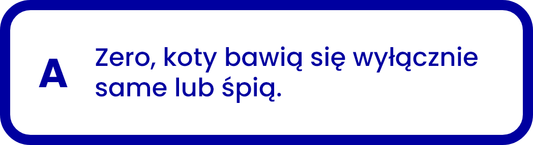 Zero, koty bawią się wyłącznie same lub śpią.