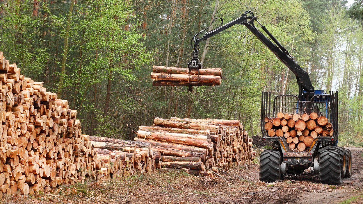 Prívesy, žeriavy, kombajny, vyvážadlá a vyvážečky - ťažká technika pre lesnícke práce