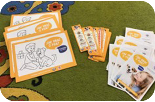 "See Spot See" activity cards, orange, paper, includes illustrations of dogs and children.