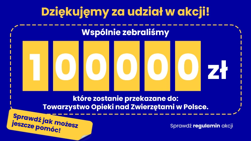 Charity fundraising graphic, yellow digits, donation total, Polish animal welfare.