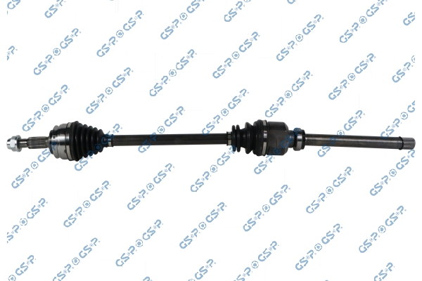 Poloosa 203109 Gsp