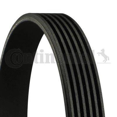 

Continental 6PK2080 Pasek Wielorowkowy Chrysl