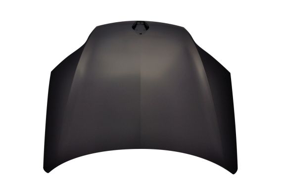 Kryt Motoru Loro Renault Laguna 10/07