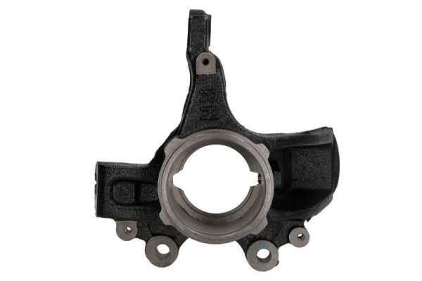 RH08-8016 - Reinhoch RH08 - 8016 поворотный штифт, подвеска